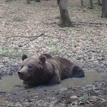 Martincan monitoruje horsky wellness a zachytava unikatne zabery