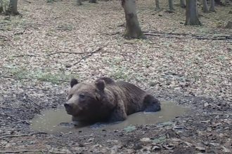 Martincan monitoruje horsky wellness a zachytava unikatne zabery