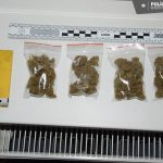 Na kosickom internate policia zaistila drogy