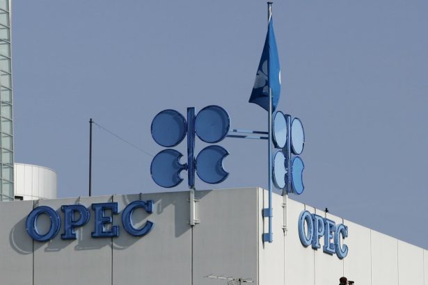 Svetovej ekonomike by sa podla OPEC mohlo darit lepsie