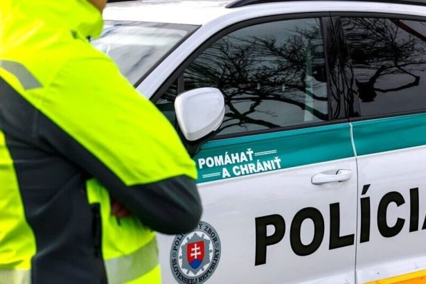 Vo Velkch Ripnanoch nasli kostrove pozostatky
