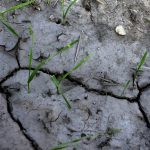 Vyrazne podne sucho pretrvava na juhu Slovenska