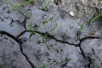 Vyrazne podne sucho pretrvava na juhu Slovenska