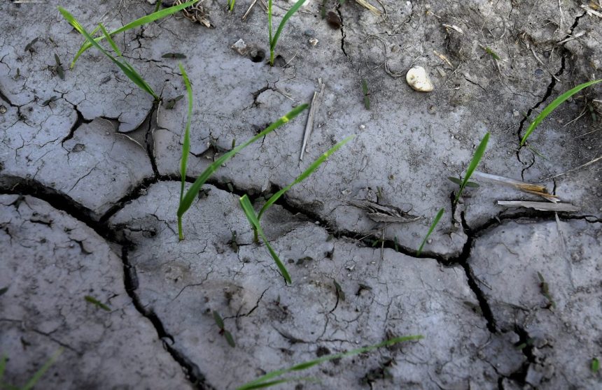 Vyrazne podne sucho pretrvava na juhu Slovenska