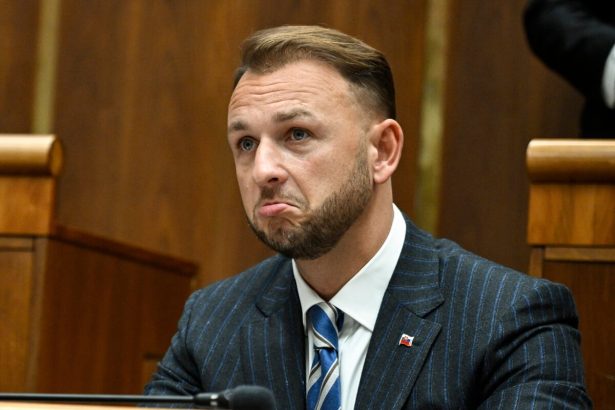 Bez Hlasu by ste nevladli reagoval Sutaj Estok