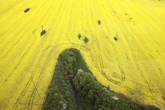 Kanada vyjadrila sklamanie z novych ciel na repku do Ciny