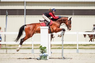 Vo svete sposobil senzaciu dochodkuje na Slovensku Elitneho zrebca osedlala mlada jazdkyna