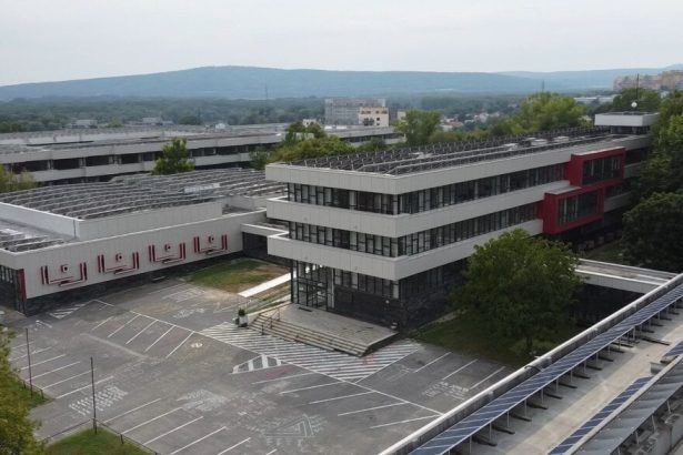Co ma naucili styria geniovia
