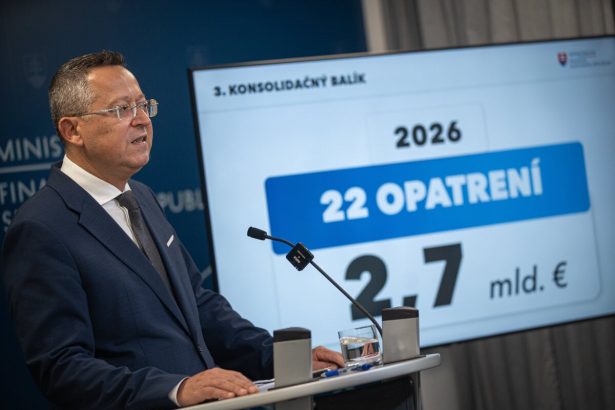 Kamenicky neodpoveda ako stat usetri na sebe