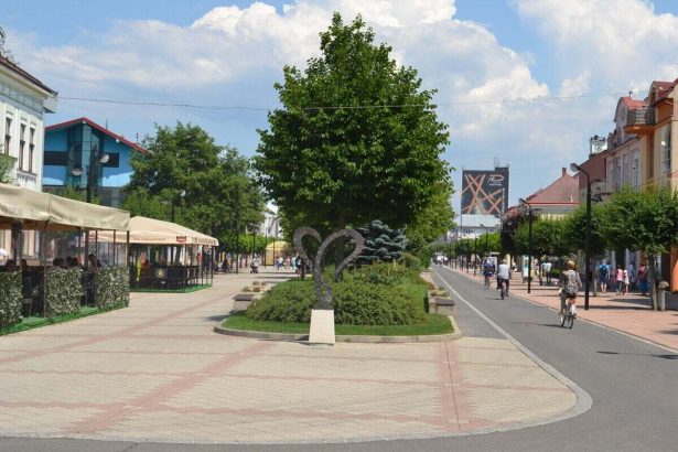 Michalovce zavadzaju jednotny poplatok za MS