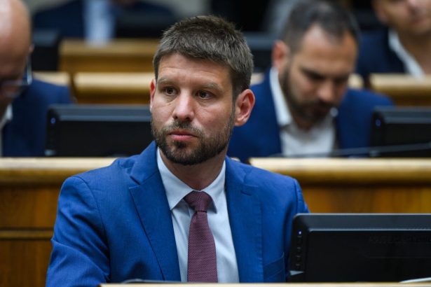 Opozicni poslanci odisli pri hlasovani o balicku