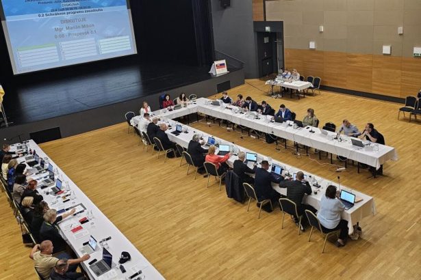 Poslanci v Puchove brania sviatok 17 novembra