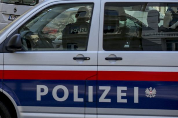 Rakuska policia v dome Nemca zaistila zbrane a nacisticke symboly