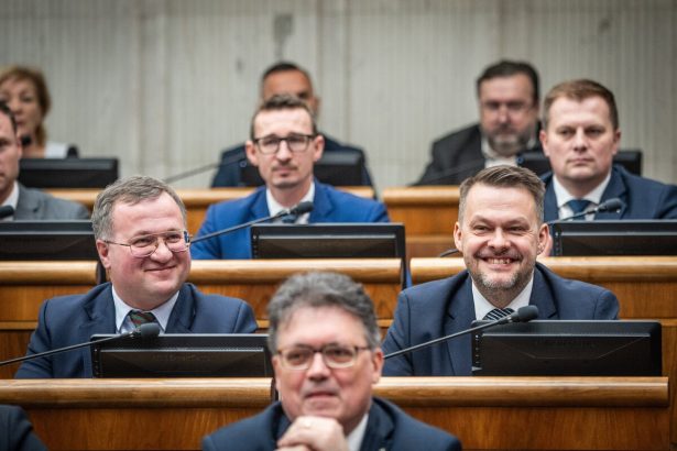 Statny tajomnik Salitros nevyvratil moznost vytvorenia novej strany