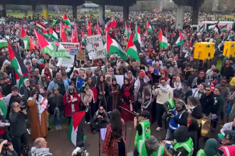 V Aucklande sa konal najvacsi propalestinsky pochod