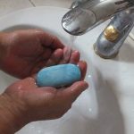 V Leviciach prepukla nakaza zltacky ohnisko je na Ladislavovom Dvore