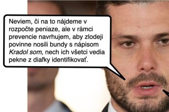 Cynicka obluda Lacnejsia verzia bundy s napisom