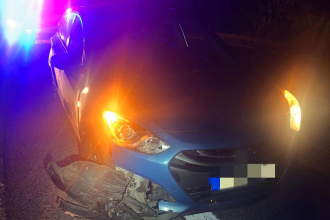 Medzi Popradom a Starym Smokovcom doslo ku stretu vozidla s medvedom Zviera z miesta uslo