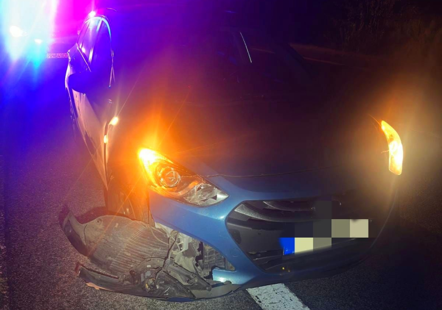 Medzi Popradom a Starym Smokovcom doslo ku stretu vozidla s medvedom Zviera z miesta uslo