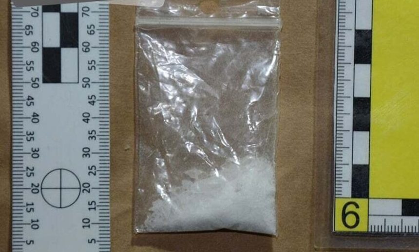 Po policajnej nahanacke nasli drogy na 260 davok Hrozilo jej 10 rokov dostala 15 mesiacov