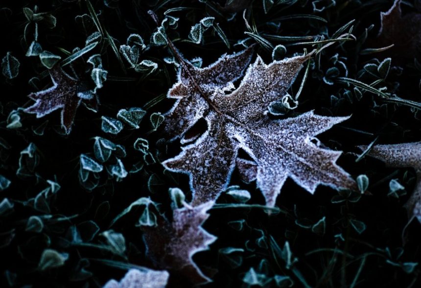 Pocas poslednych noci a ran mrzlo vacsine uzemia