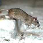 Porozpravajme sa o dehumanizacii