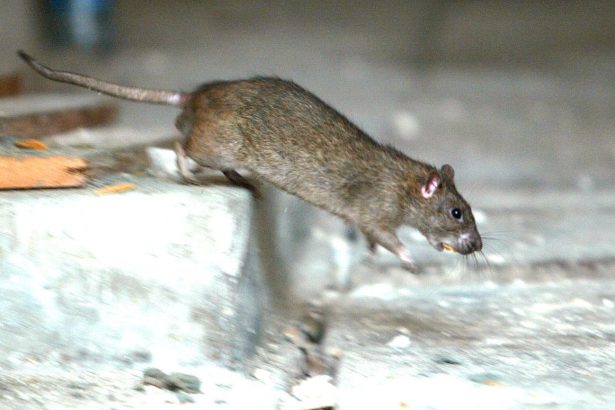 Porozpravajme sa o dehumanizacii