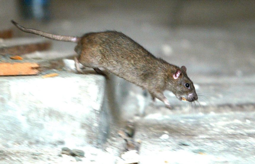 Porozpravajme sa o dehumanizacii