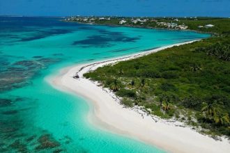Ako ziskat polovicu statneho rozpoctu bez namahy
