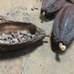 Ceny kakaa prudko klesli spotrebitelske ceny sa vsak nezmenia