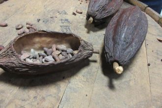 Ceny kakaa prudko klesli spotrebitelske ceny sa vsak nezmenia