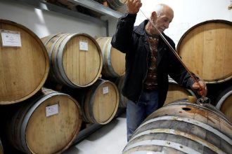 Globalna produkcia vina tento rok mierne vzrastla