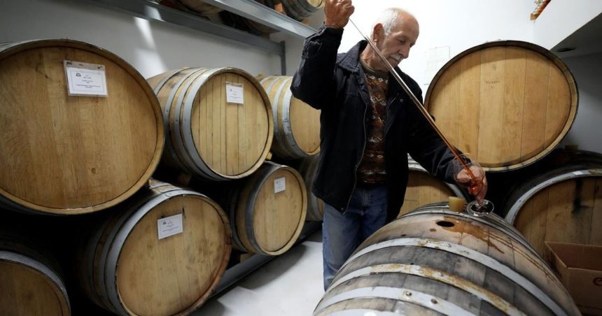 Globalna produkcia vina tento rok mierne vzrastla