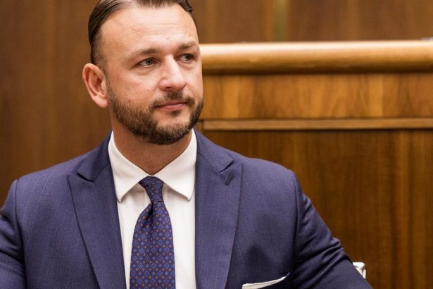 Hlas ma podla Sutaja Estoka viacero kandidatov na podpredsedu vlady