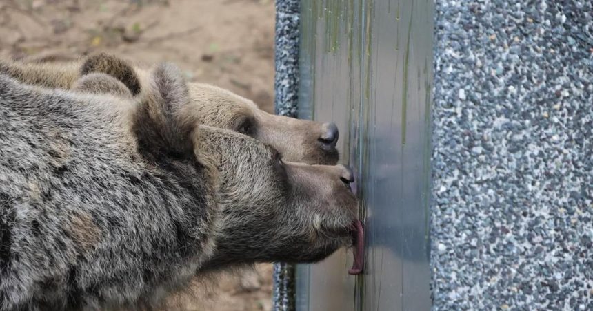 KOSICE Zoologicka zahrada v Kosiciach je opat otvorena
