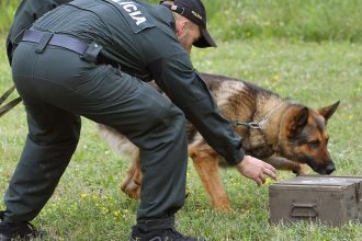 MV SR nakupi nove koterce pre policajne psy za 659000 eur