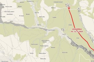 Mesto uzavrie lesnu cestu v Myslave na orezavanie stromov