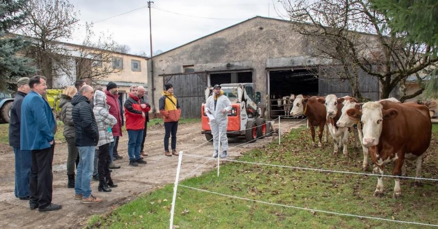 Oravske druzstvo vyslachtilo kravy s nadpriemernou dojivostou