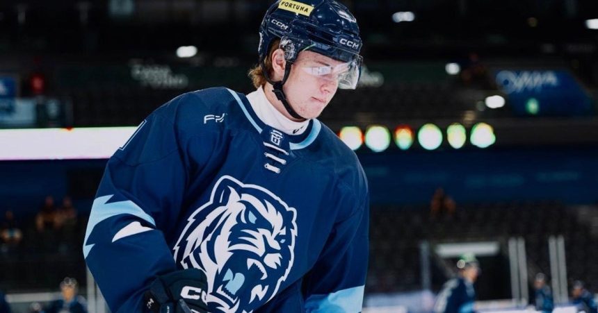 Pred rokom bojoval o zivot teraz sniva o NHL Syn byvaleho slovenskeho reprezentanta exceluje v Cesku