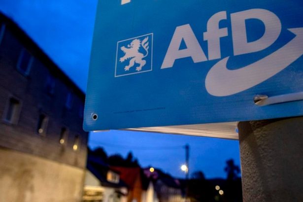 Prieskum Vacsina Nemcov tvrdi ze AfD je blizko Rusku