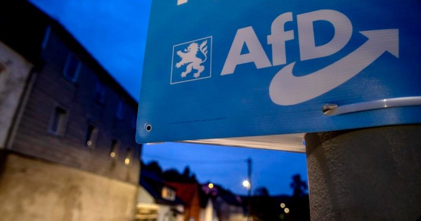 Prieskum Vacsina Nemcov tvrdi ze AfD je blizko Rusku