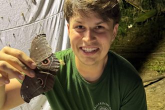 Samicka moze stat aj desattisic eur Ked nie je doma o motyle sa mu stara mama