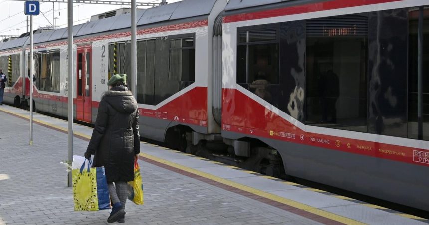 Vlakovu dopravu stale komplikuju spadnute stromy