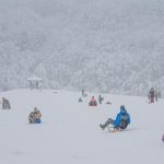 Dopravny podnik v Bratislave spusti zimnu sezonu linky 144