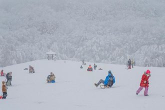 Dopravny podnik v Bratislave spusti zimnu sezonu linky 144