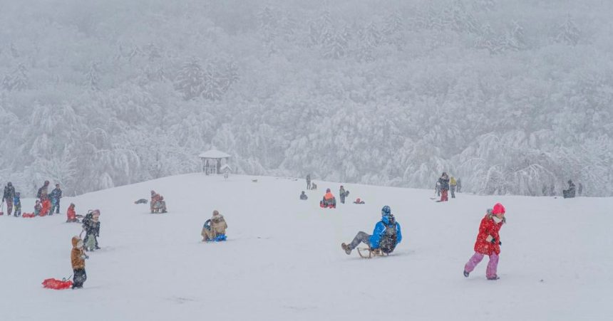 Dopravny podnik v Bratislave spusti zimnu sezonu linky 144