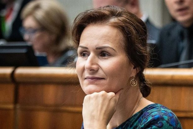 HOLECKOVA V Hnuti Slovensko su sikovni ludia