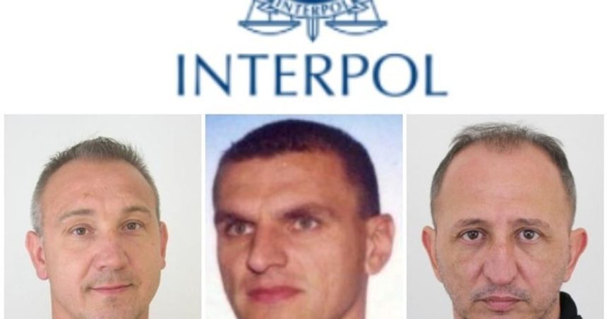 INTERPOL Organizacia aktualne eviduje osem hladanych Slovakov