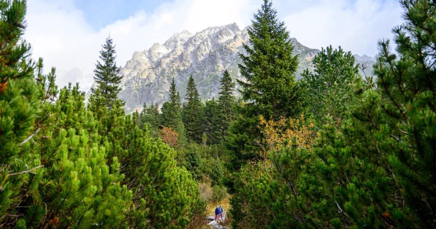 Oktober priniesol viac turistov navstevnost hotelov stupla o 6 percent