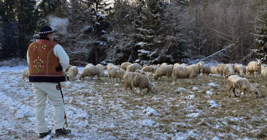 Pastieri patrili k vianocom divadlam a kolidam